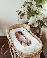 Moses basket