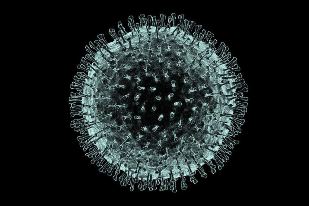 coronavirus