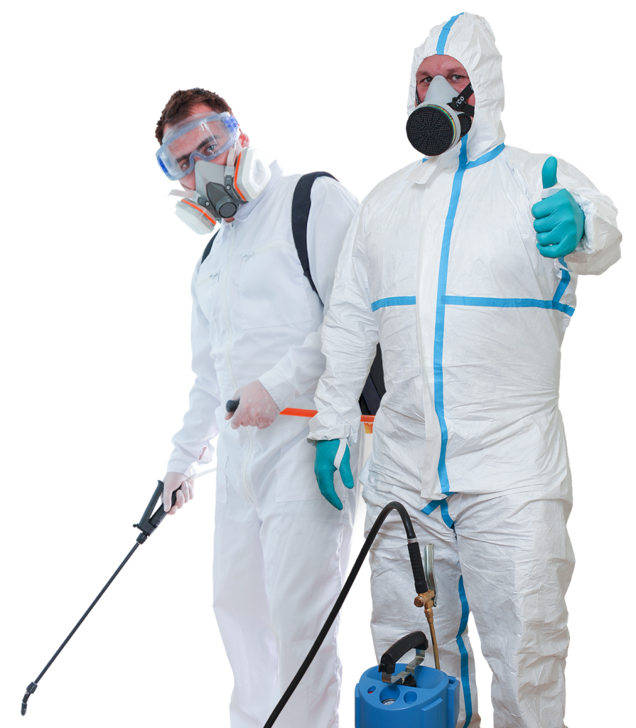 commercial pest control services